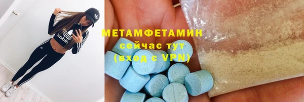 прущие грибы Белокуриха