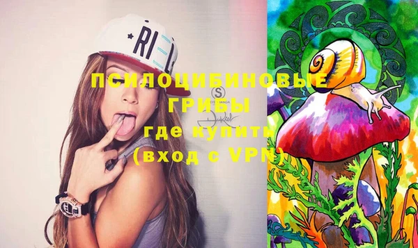 прущие грибы Белокуриха