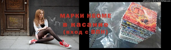 прущие грибы Белокуриха