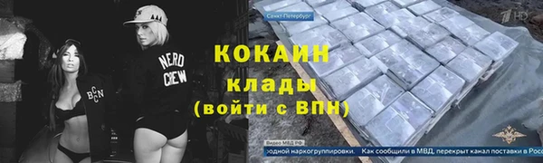 прущие грибы Белокуриха