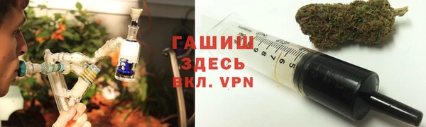 прущие грибы Белокуриха