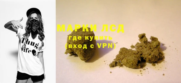 прущие грибы Белокуриха
