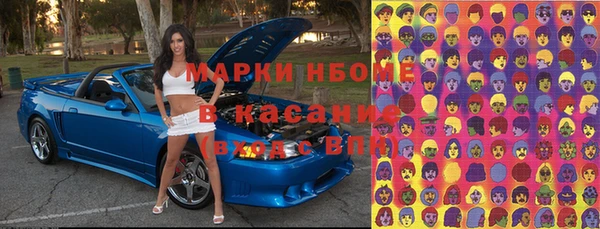 прущие грибы Белокуриха