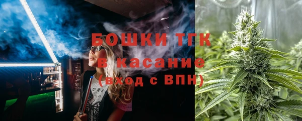прущие грибы Белокуриха