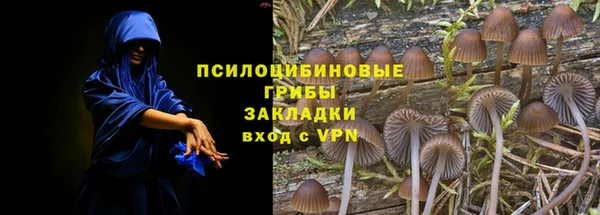 прущие грибы Белокуриха