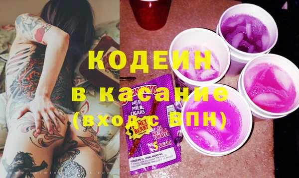 прущие грибы Белокуриха