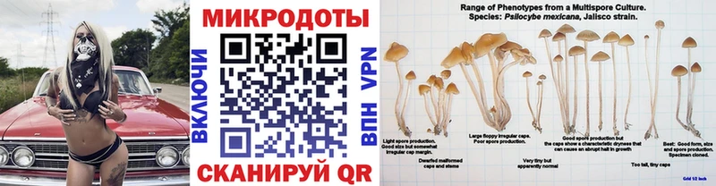 Галлюциногенные грибы Psilocybe цена наркотик Онега