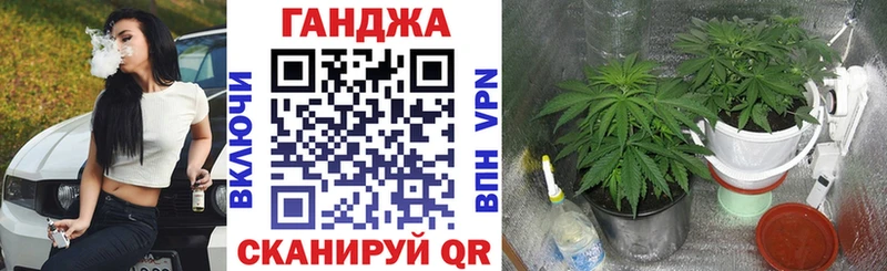 Шишки марихуана THC 21%  Онега 